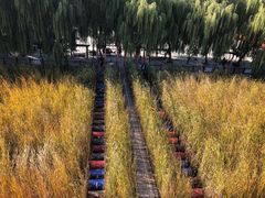-河北村民俗体验园