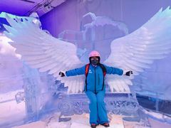 -世界之窗阿尔卑斯冰雪世界