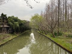 -同里国家湿地公园