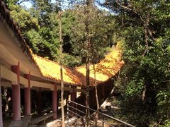 -天鹿湖森林公园