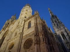 -斯蒂芬主教座堂(Stephansdom)
