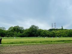 -八卦田遗址公园