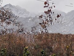 -都江堰石锅鱼
