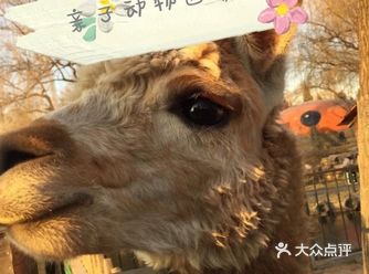 亲子出游无处可走？不可能看这里