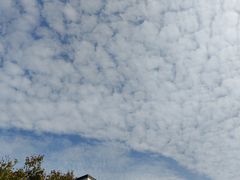 -食膳公园包子铺(烈士公园店)