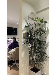 -沐蕙日式美甲美睫皮肤管理