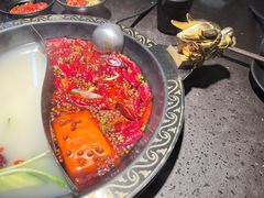 特色鸳鸯番茄锅-锅说大脸毛肚重庆老火锅(佐阾店)
