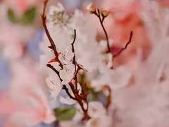 -天泰宾馆婚宴·宴会厅·婚礼堂