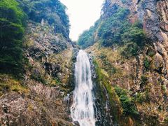 -龙湾潭国家森林公园