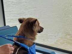 -公平路渡口(轮渡站)