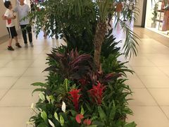 -宁波杉井奥特莱斯广场