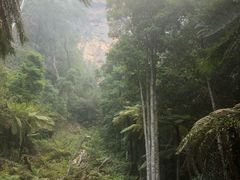 -悉尼蓝山三姐妹峰
