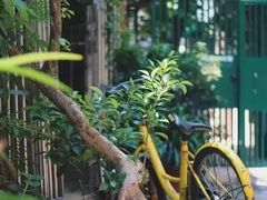 -小洲村
