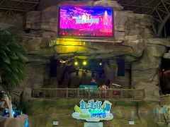 -杭州开元森泊度假乐园