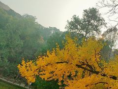 -香山公园