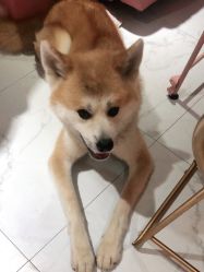 -JX今喜美甲美睫