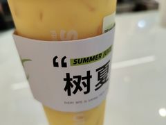 -树夏(成都招商大魔方店)