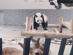 -西安秦岭野生动物园