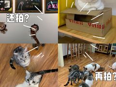 -猫爪屋猫咖(乐汇城店)