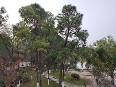 -九华山公园