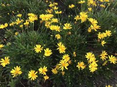 -昆山城市生态森林公园