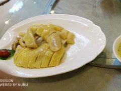 -清心鸡沙田乳鸽店·非遗传承(石溪店)
