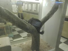 -龙猫仔乐园(惠福东路店)