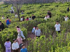 -西部长青自然儿童乐园