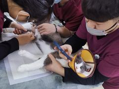 -美联众合动物医院·24h转诊中心