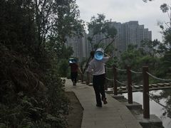 -石溪公园