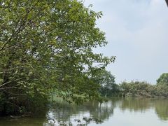 -江门古劳水乡旅游区