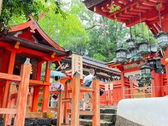 -奈良公园