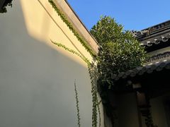 -松云泽