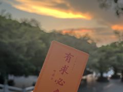 -深圳仙湖植物园