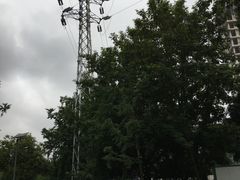 -重庆彩云湖湿地公园