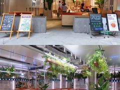 -老乡鸡(上海白玉兰广场店)
