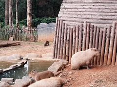 -云南野生动物园