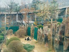 -大连森林动物园