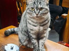 -老北京褡裢火烧·任记