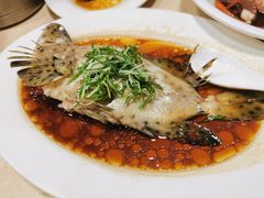 老鼠斑-老字号蛇口德记烧腊饭店·海鲜加工