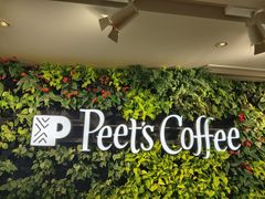 -Peet's Coffee皮爷咖啡(大学路店)