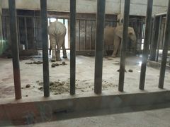 -石家庄市动物园