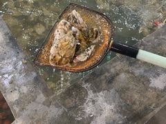-阔澜蒸汽海鲜自助
