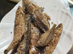 -野菌皇海景野生菌火锅(滨海大道店)