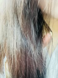 -青木造型HAIR·あおき髪を刈る潮人店