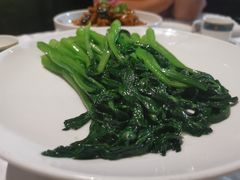 广东菜心-卫鼎轩·曹公馆(鼓楼店)