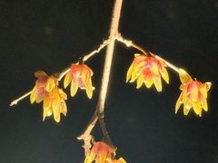 -蠡湖大桥公园