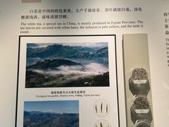-中国茶叶博物馆(双峰馆区)