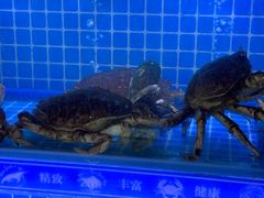 -江南福宴·澳门海鲜.牛肉火锅(汇高栢悦中心店)