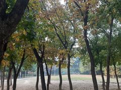 -富斯特索道